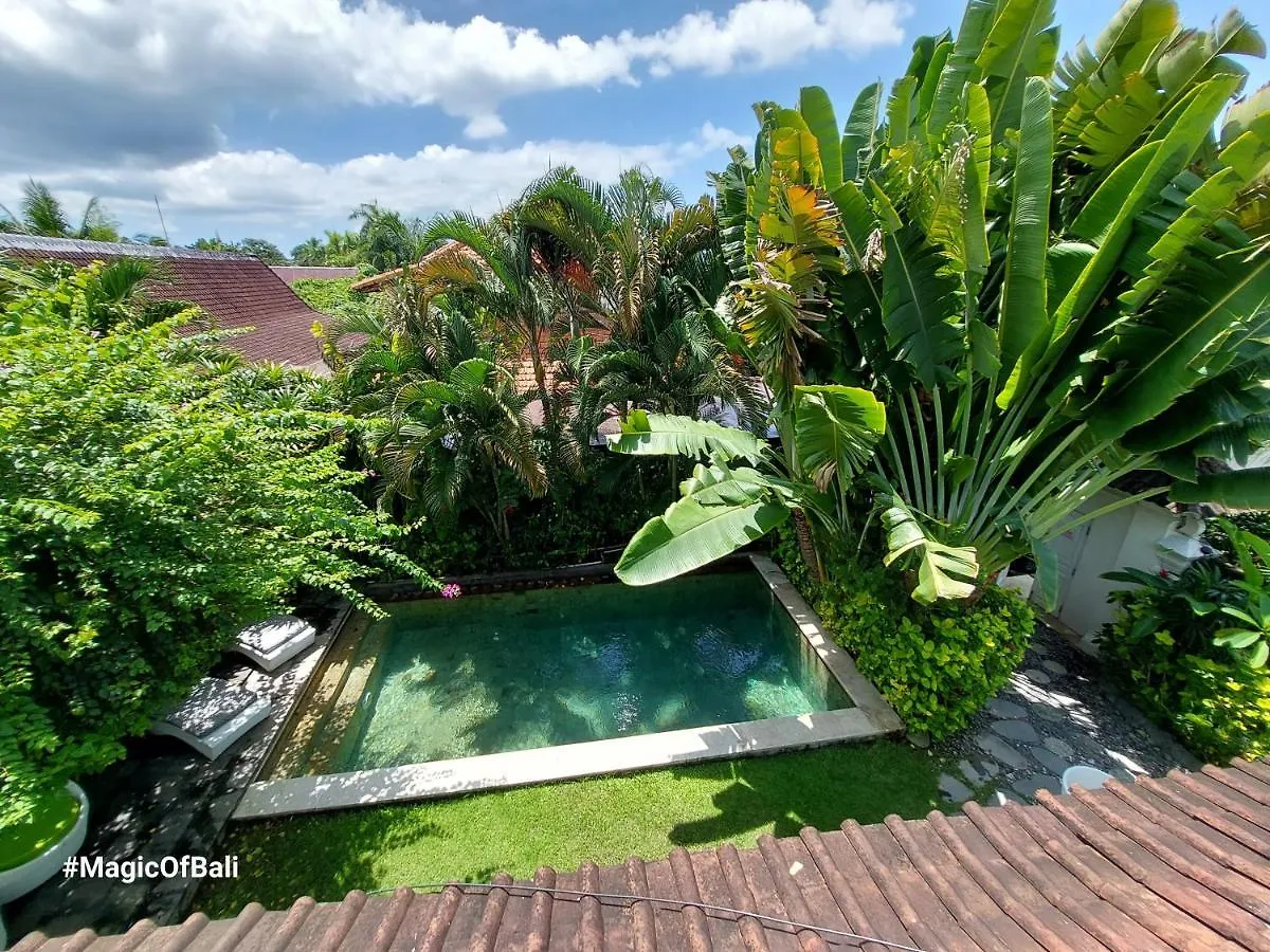 Ocean Star Villa Three Near Kudeta Beach 塞米亚克